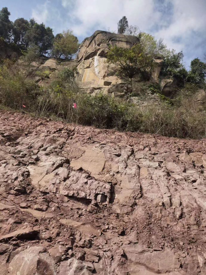 6d0154dc1b32f4081919ea4ceb875102 15.jpg