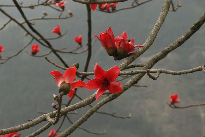 edc854879c5a43cb76a89e797d85c51a 1.jpg