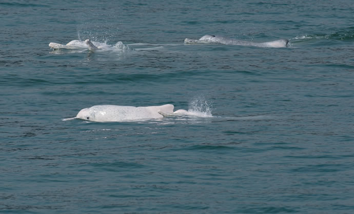 c15c985705d805a6d36c5e0f6d703889 1.jpg