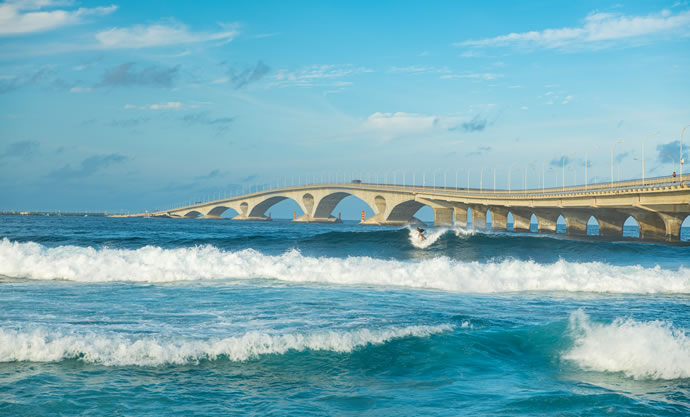 465bb12130b1dcf59797a2a363f763e7 1.jpg