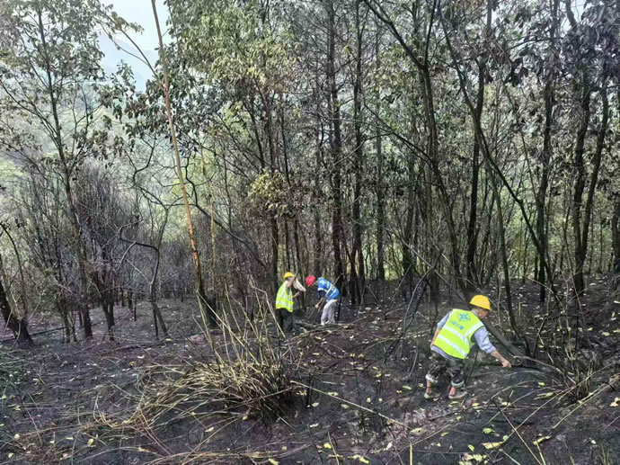 9c14b4114b60b9a93ee110c890d4b661 2.jpg