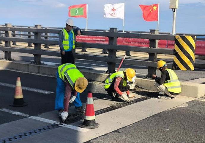 6be91924a307e91999c1e83fd5fbcd65 1.jpg