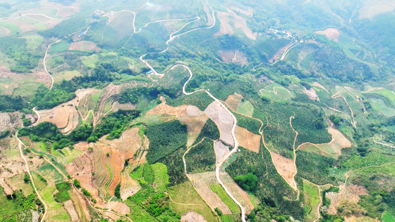 202504101133393339_��ͼ��