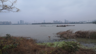 clipbord_1742260182740