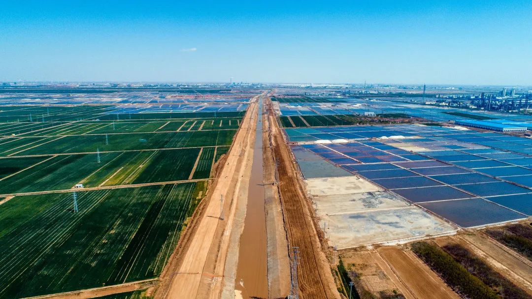 ɽ���ٹⵤ�ӷ���������������