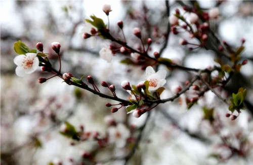 1xBET��Signup(�й�����)-�ٷ���վ