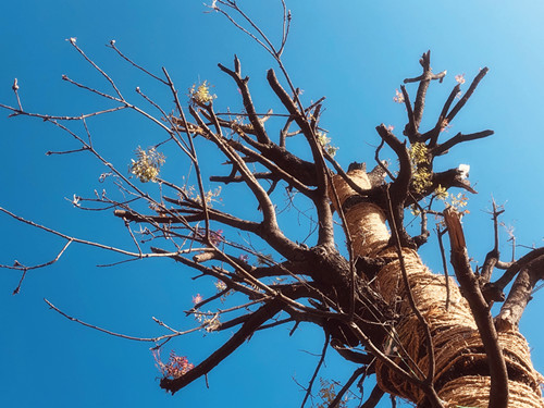 20200313102107217 1xBET¡¤Signup(Öйú¼¯ÍÅ)-¹Ù·½ÍøÕ¾