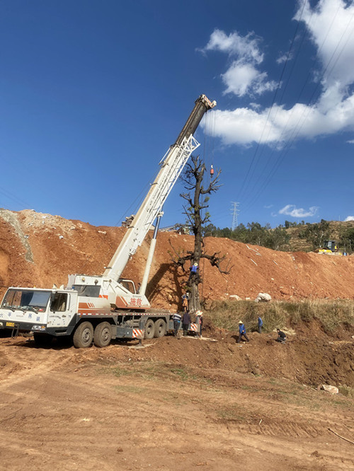 202003131030573057 1xBET¡¤Signup(Öйú¼¯ÍÅ)-¹Ù·½ÍøÕ¾