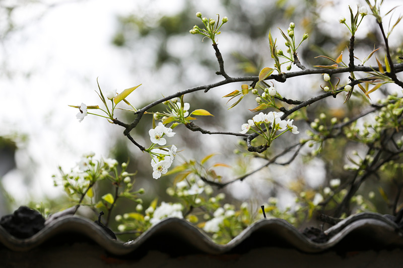 202004062028242824 1xBET¡¤Signup(Öйú¼¯ÍÅ)-¹Ù·½ÍøÕ¾