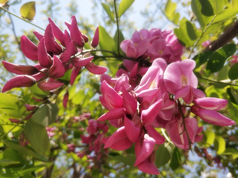 1xBET��Signup(�й�����)-�ٷ���վ