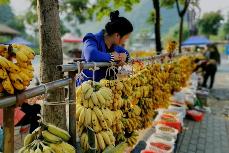 1xBET��Signup(�й�����)-�ٷ���վ