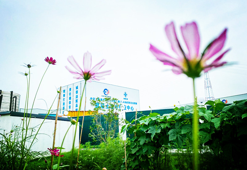 202008041043184318 1xBET¡¤Signup(Öйú¼¯ÍÅ)-¹Ù·½ÍøÕ¾