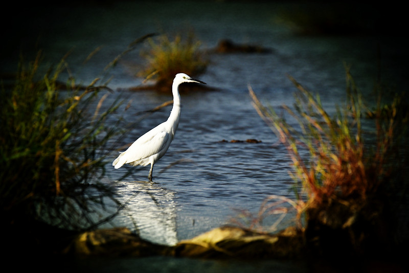 202009031142284228 1xBET¡¤Signup(Öйú¼¯ÍÅ)-¹Ù·½ÍøÕ¾