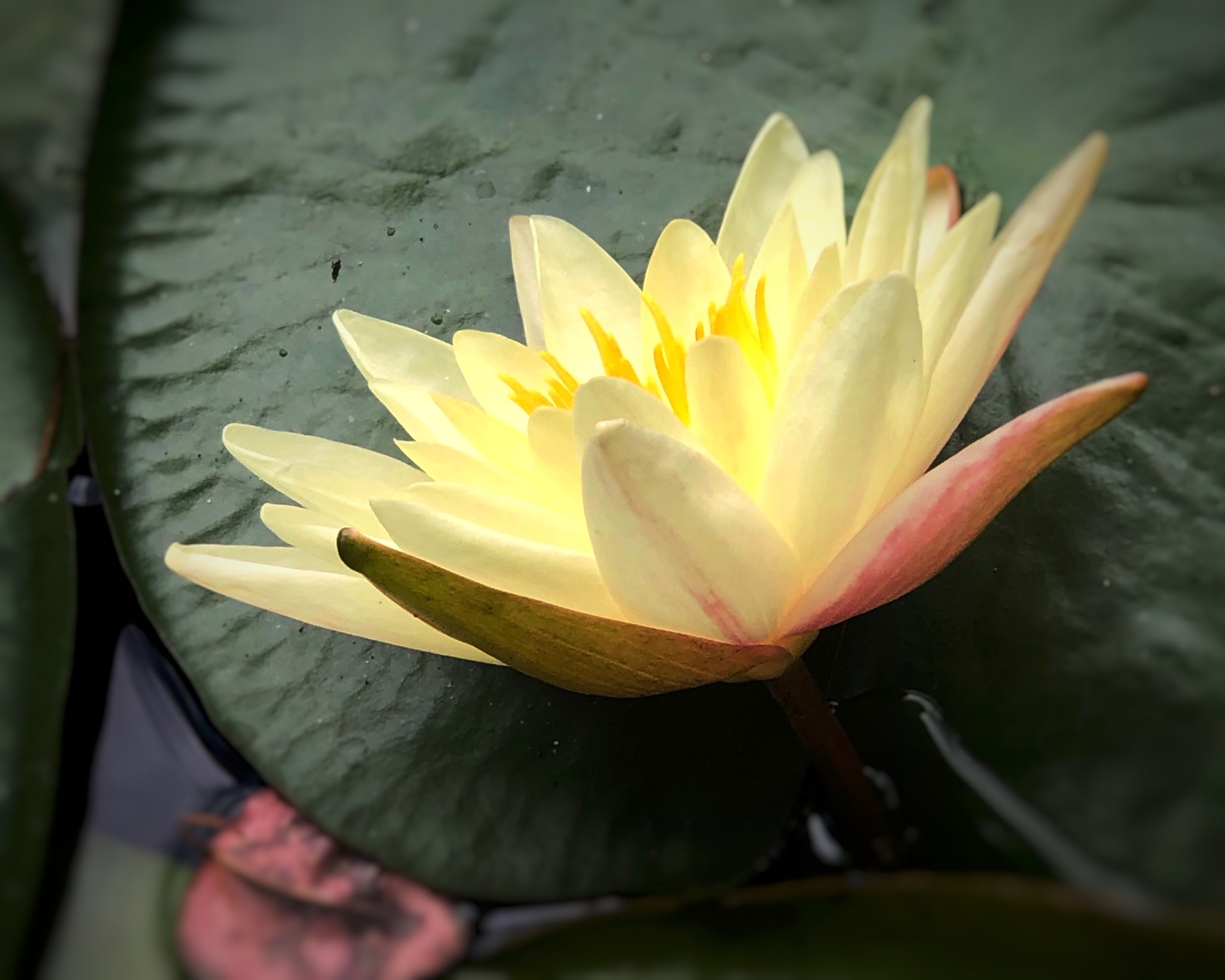 202009041449404940 1xBET·Signup(中国集团)-官方网站