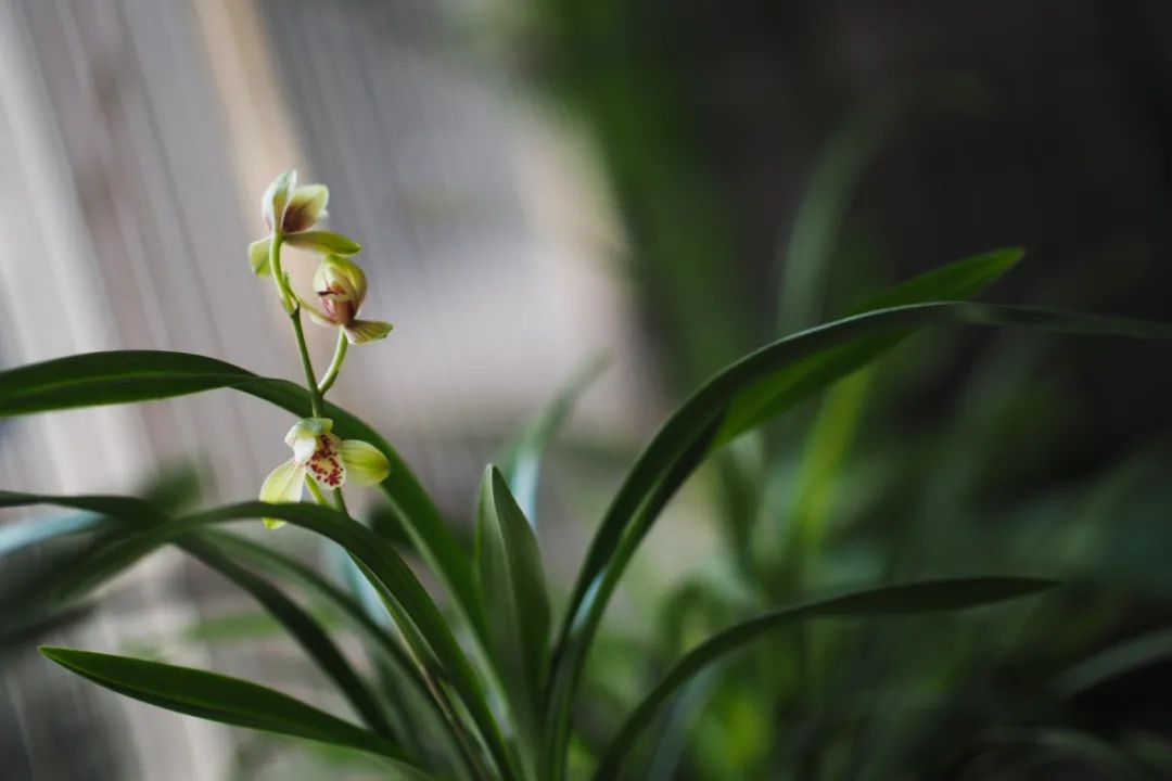 1xBET��Signup(�й�����)-�ٷ���վ