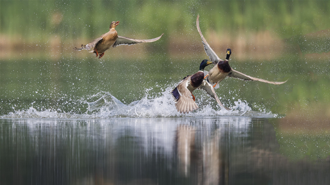 20220329162408248 1xBET¡¤Signup(Öйú¼¯ÍÅ)-¹Ù·½ÍøÕ¾