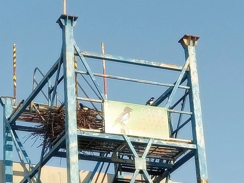 1xBET��Signup(�й�����)-�ٷ���վ