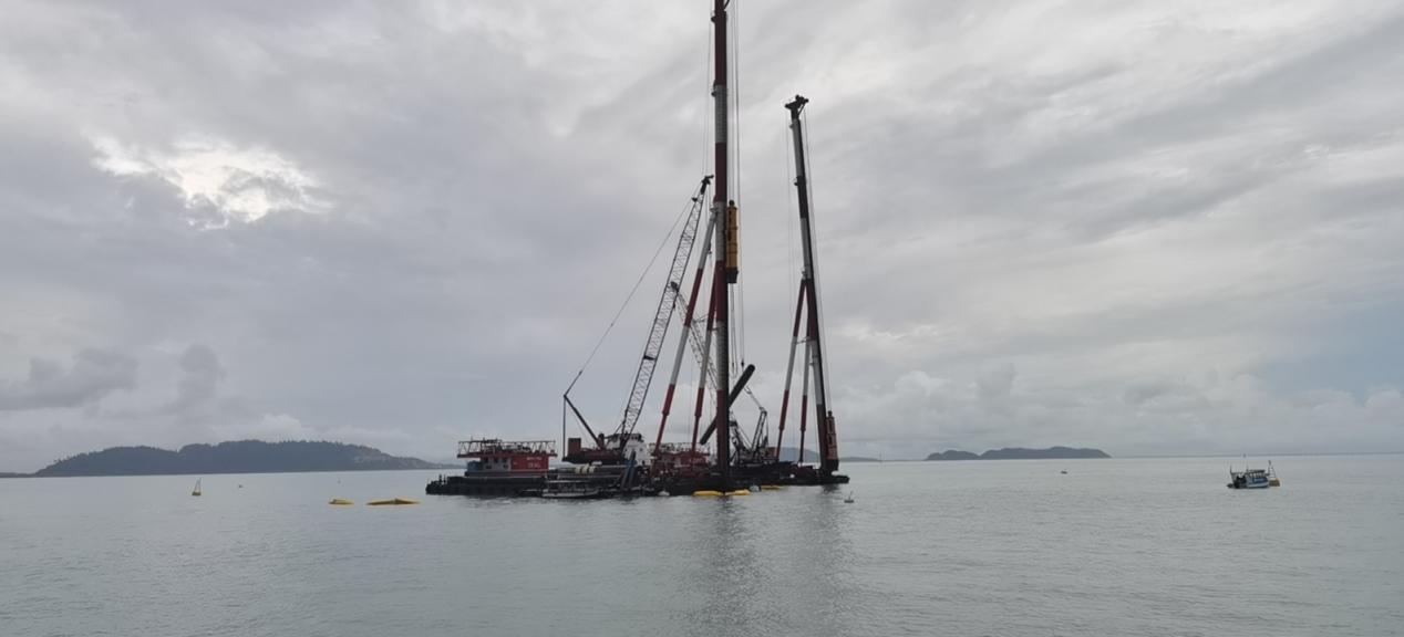 3115581594 3115581594