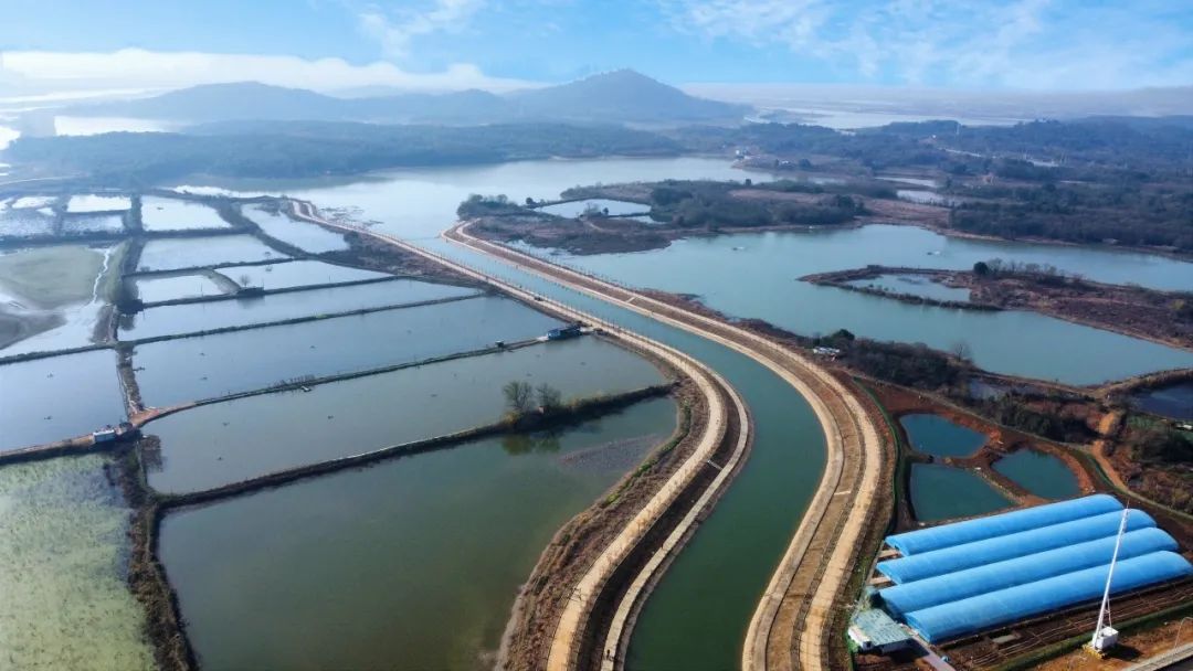 1xBET��Signup(�й�����)-�ٷ���վ