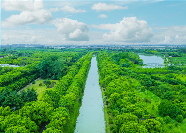 1xBET��Signup(�й�����)-�ٷ���վ