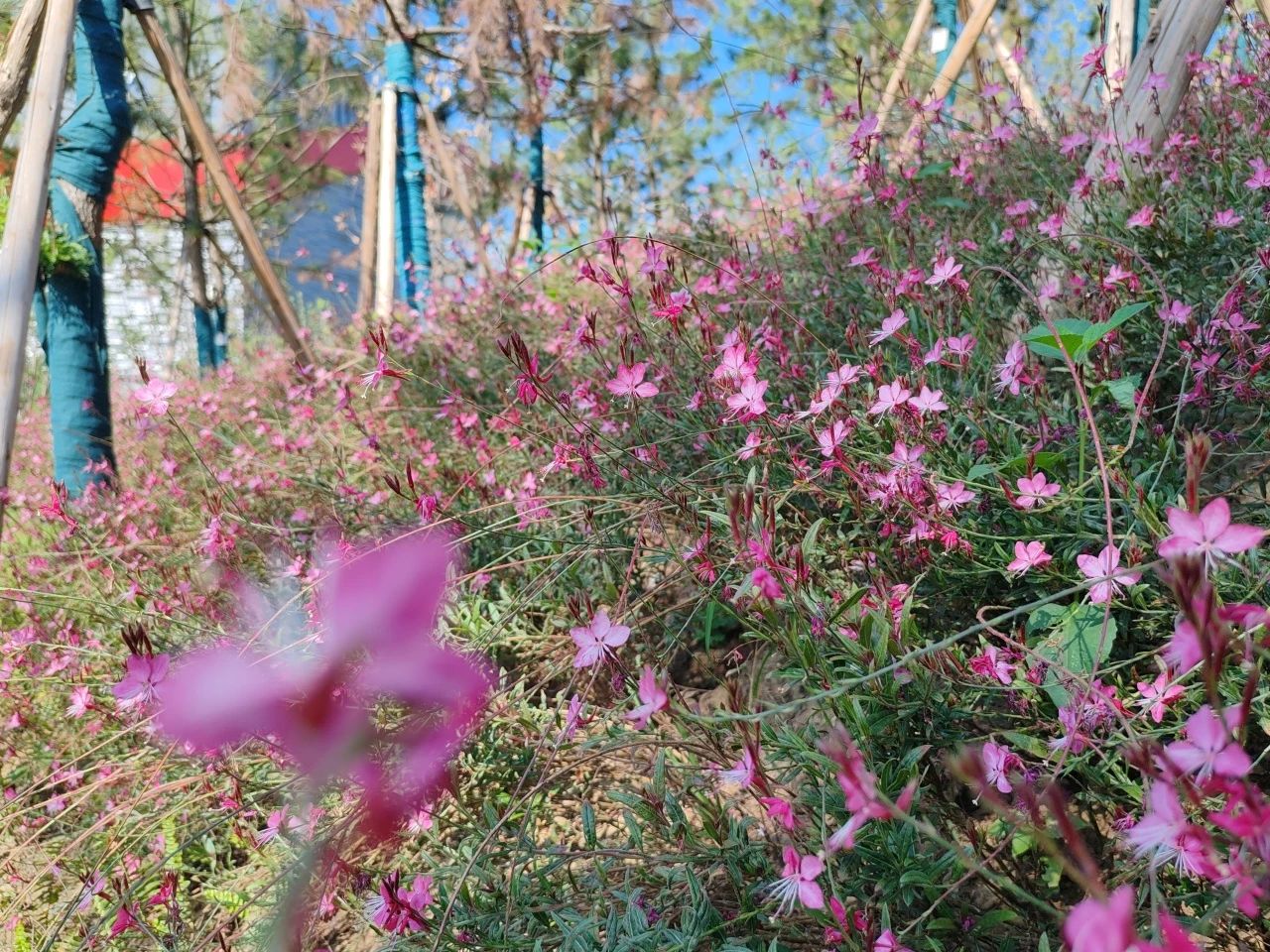 202410171025522552 1xBET¡¤Signup(Öйú¼¯ÍÅ)-¹Ù·½ÍøÕ¾