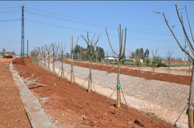 1xBET��Signup(�й�����)-�ٷ���վ