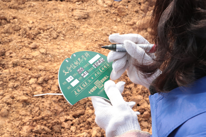 1xBET��Signup(�й�����)-�ٷ���վ