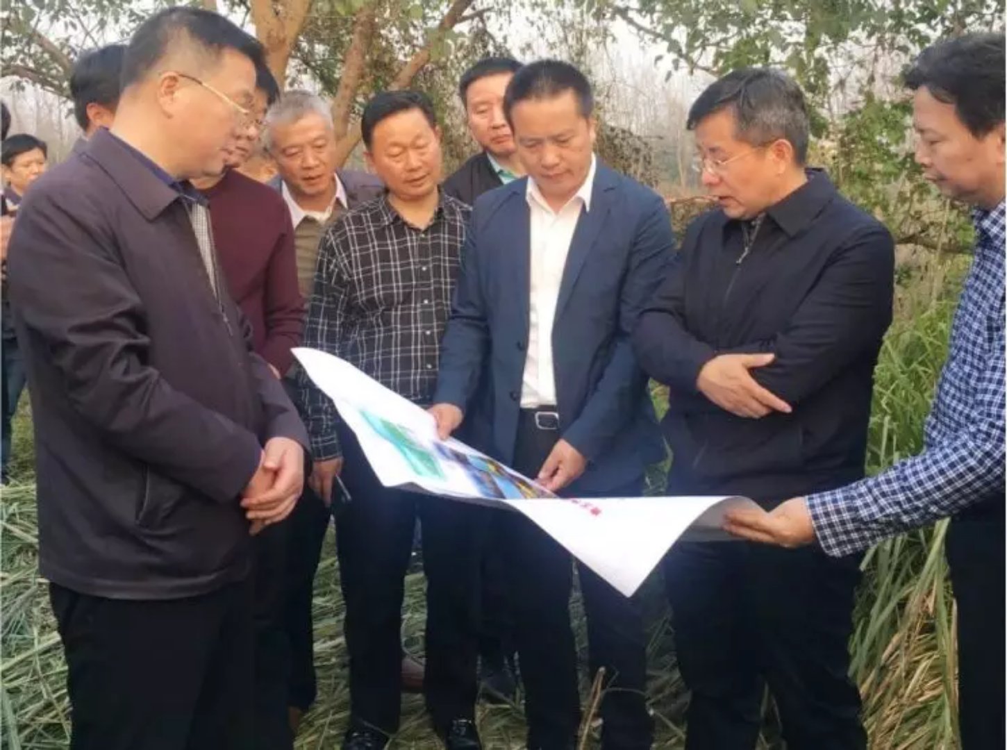 746bfd1bf0a31e12f6389a9aa0756fdc _20181130111025.jpg