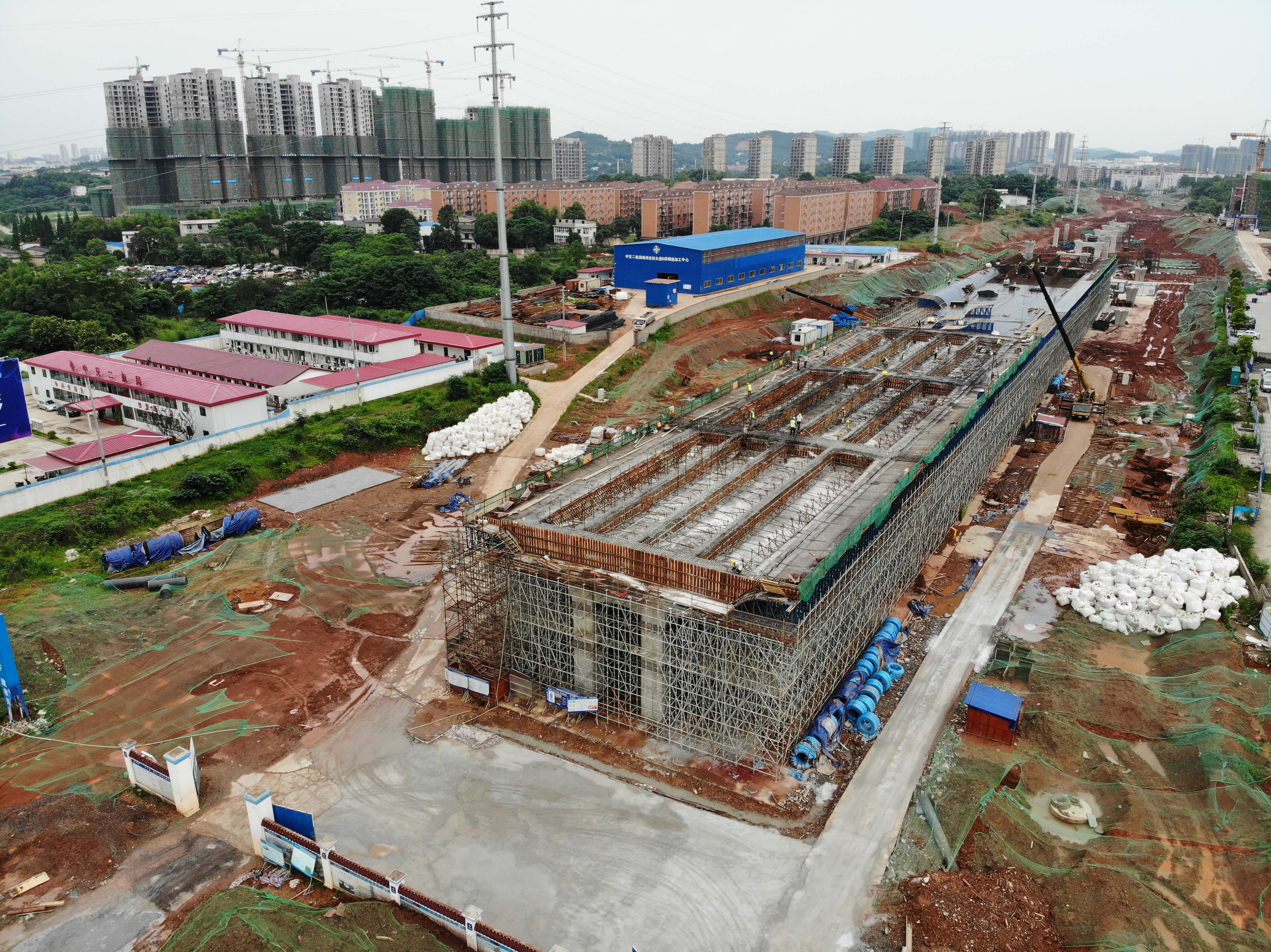 ������������ɺ�1