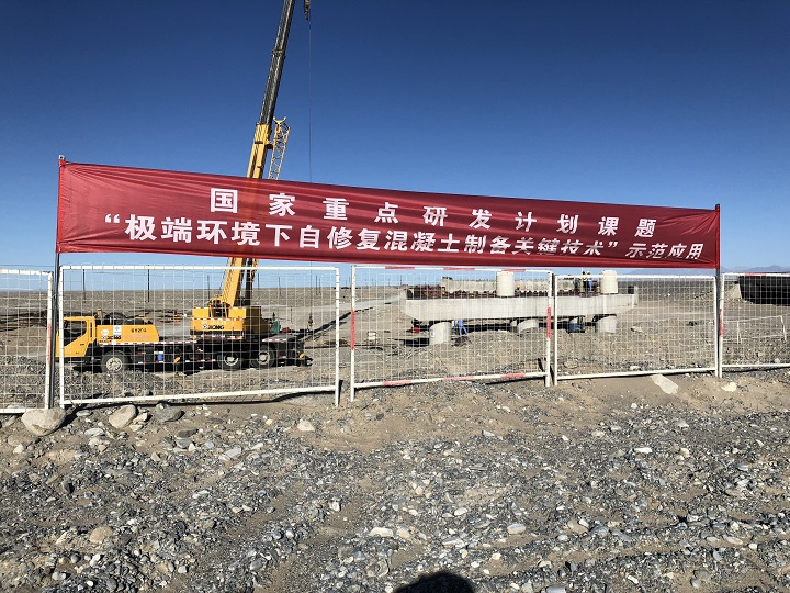 ff03e49de7ae8ec0dde05e978917e721 2222.jpg