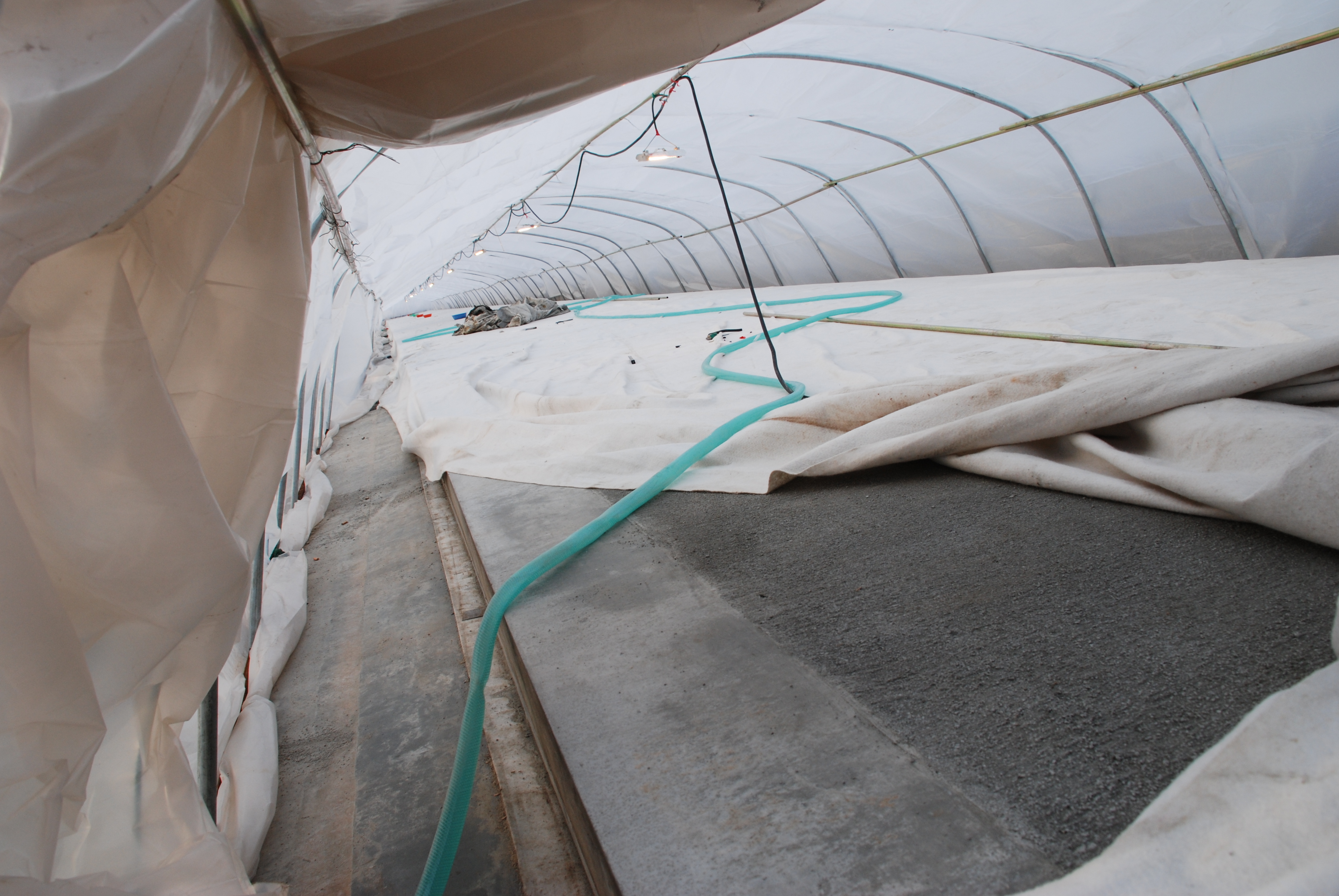 1xBET��Signup(�й�����)-�ٷ���վ