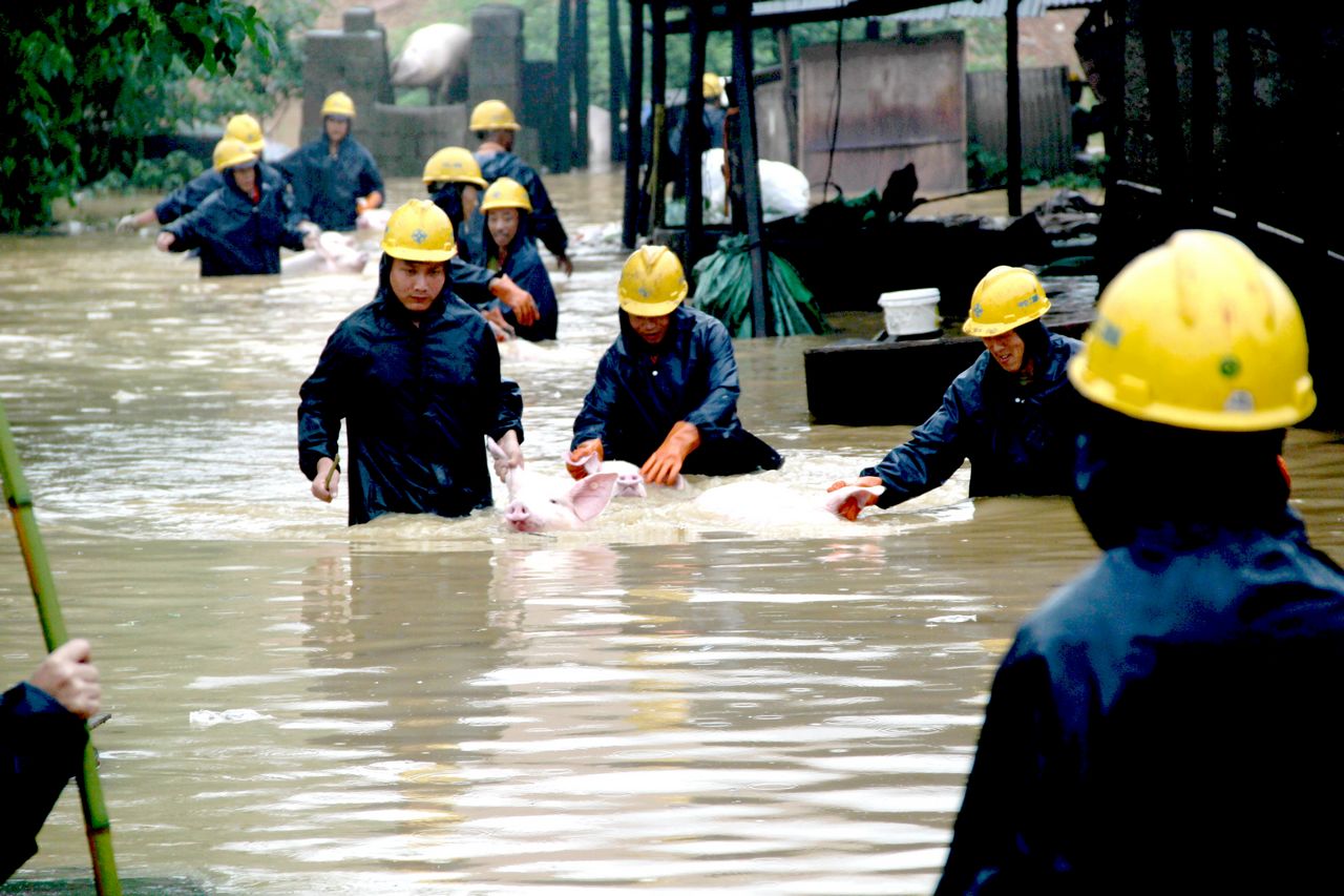 1xBET��Signup(�й�����)-�ٷ���վ