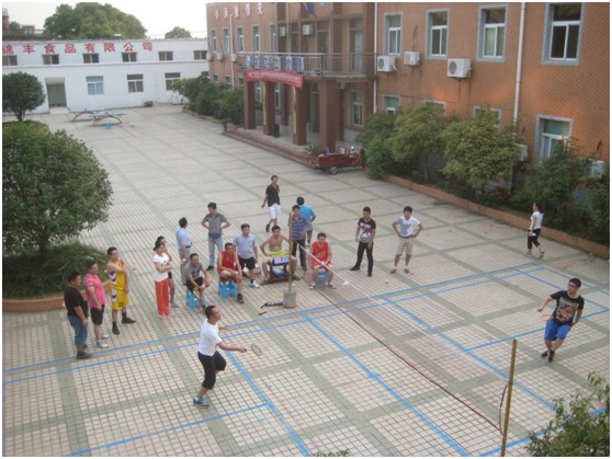 1xBET��Signup(�й�����)-�ٷ���վ