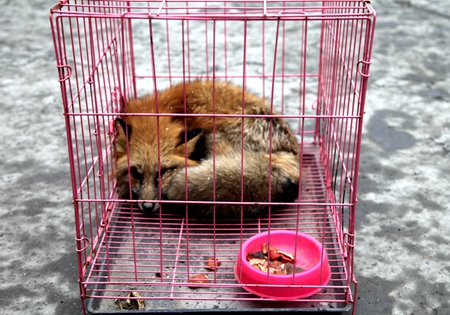 2015030514581772 1xBET¡¤Signup(Öйú¼¯ÍÅ)-¹Ù·½ÍøÕ¾