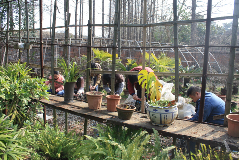 1xBET��Signup(�й�����)-�ٷ���վ