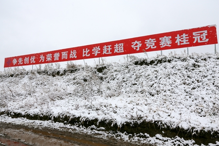 1xBET��Signup(�й�����)-�ٷ���վ