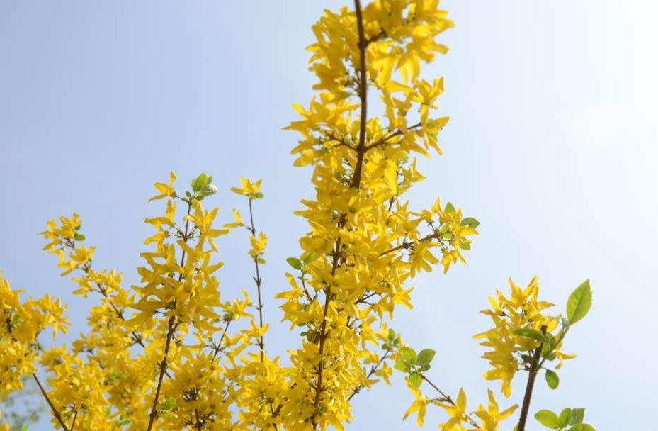 1xBET��Signup(�й�����)-�ٷ���վ