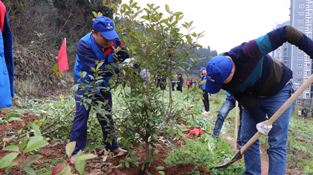 2019031114244748 1xBET¡¤Signup(Öйú¼¯ÍÅ)-¹Ù·½ÍøÕ¾