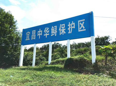 1xBET��Signup(�й�����)-�ٷ���վ