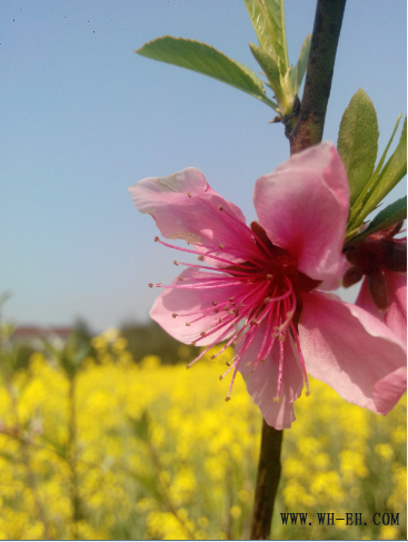 1xBET��Signup(�й�����)-�ٷ���վ