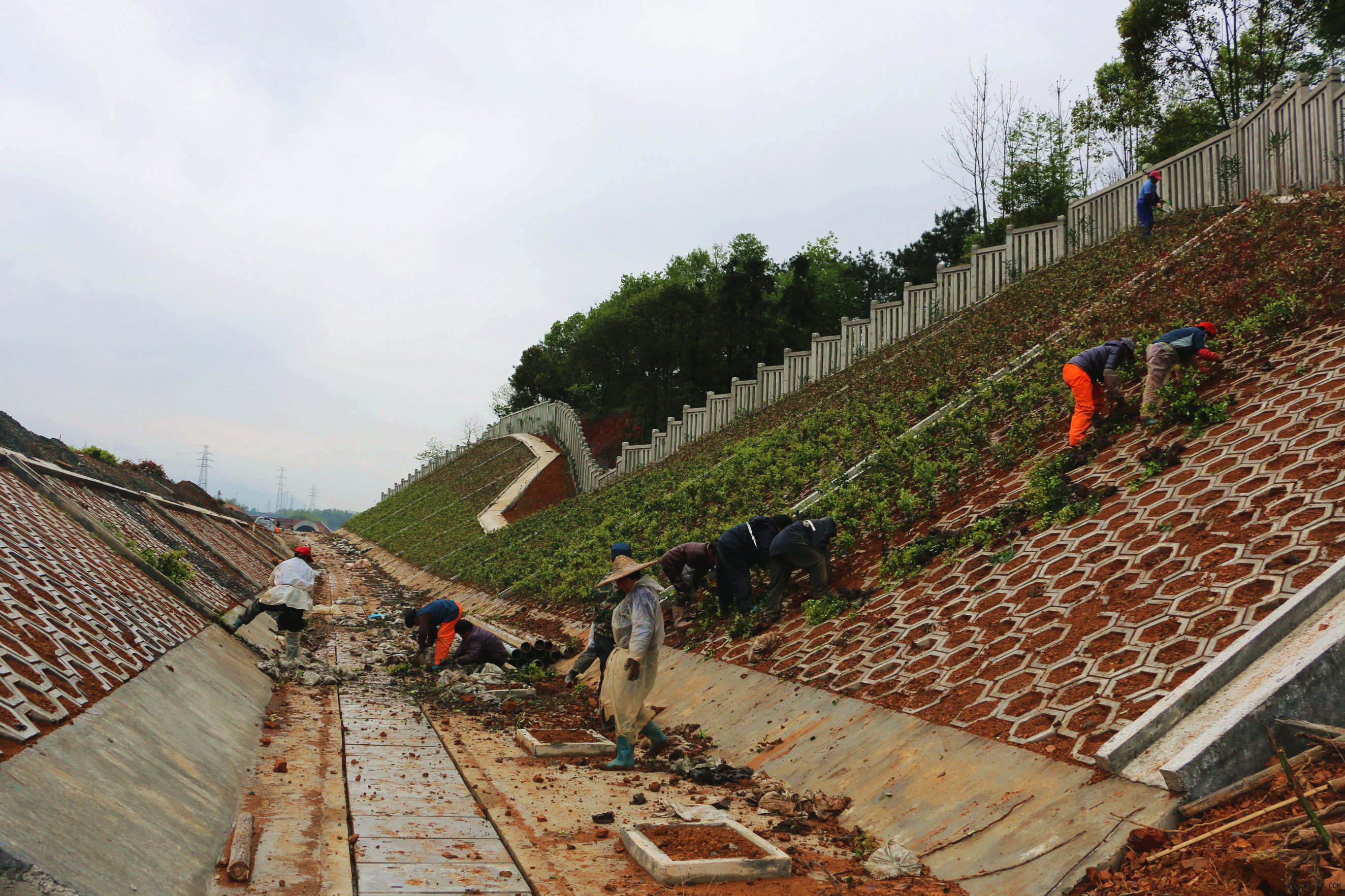 1xBET��Signup(�й�����)-�ٷ���վ