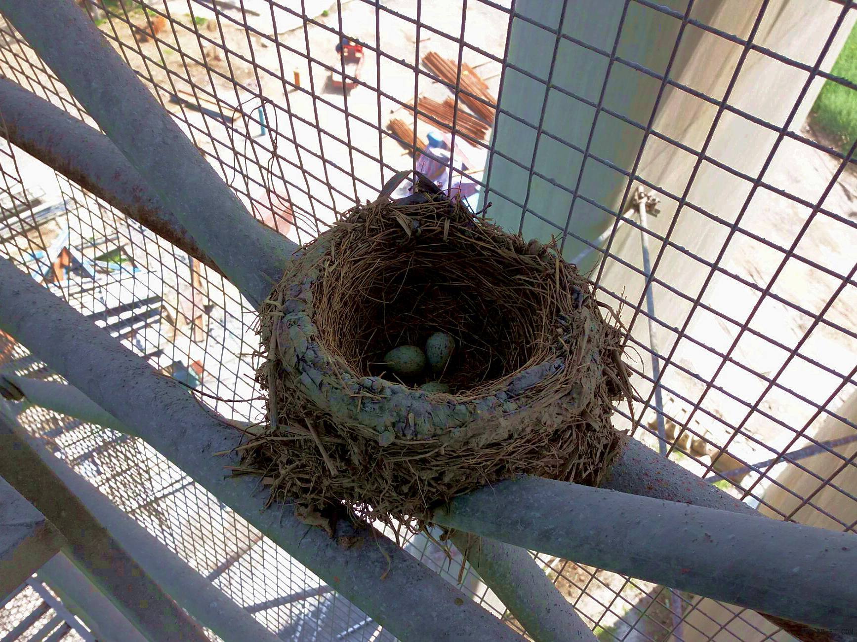 1xBET��Signup(�й�����)-�ٷ���վ