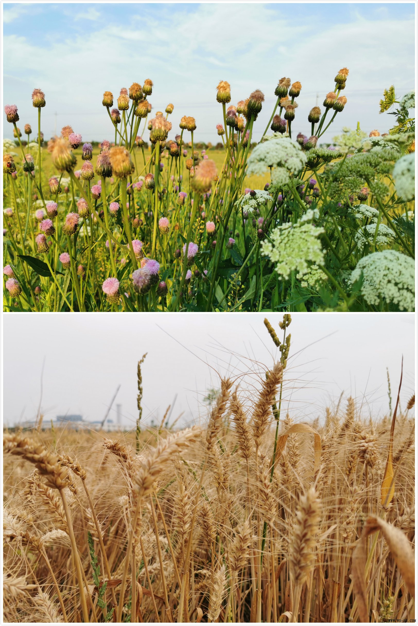 1-200609134351124 1xBET¡¤Signup(Öйú¼¯ÍÅ)-¹Ù·½ÍøÕ¾