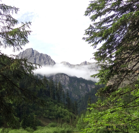 1xBET��Signup(�й�����)-�ٷ���վ