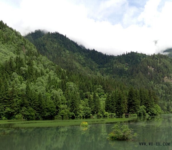 1xBET��Signup(�й�����)-�ٷ���վ