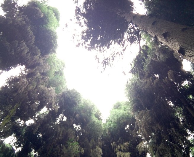 1xBET��Signup(�й�����)-�ٷ���վ