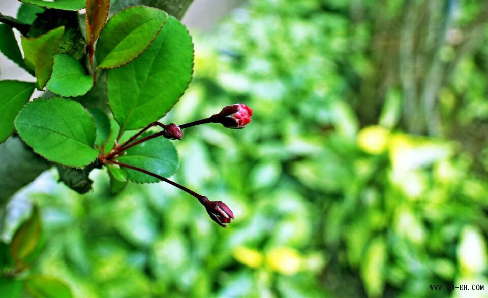 1xBET��Signup(�й�����)-�ٷ���վ