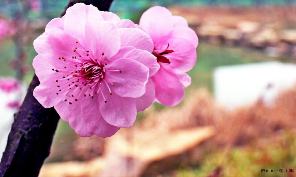 1xBET��Signup(�й�����)-�ٷ���վ