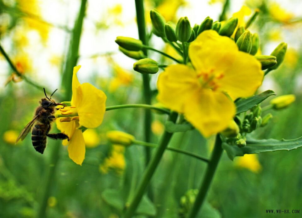 1xBET��Signup(�й�����)-�ٷ���վ