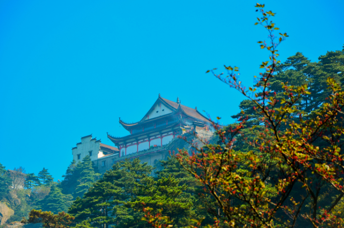 1xBET��Signup(�й�����)-�ٷ���վ